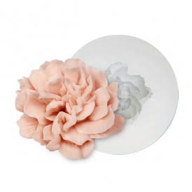 플라워 카네이션