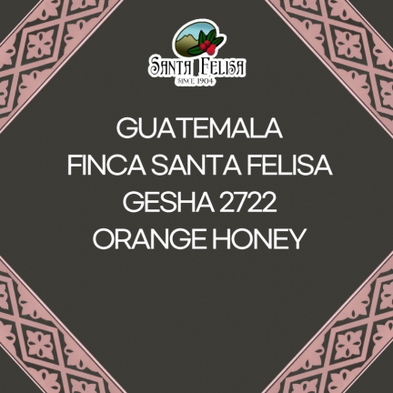 커피 생두 상품 이미지