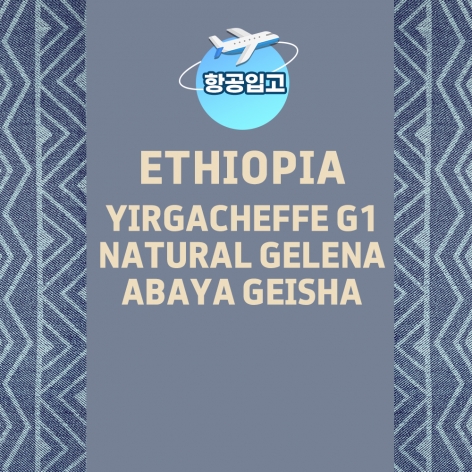 (커피생두) 83 에티오피아 예가체프 G1 내추럴 겔레나 아바야 게이샤 1kg
