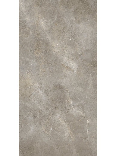 AION PALLADIUM GREY NATURAL