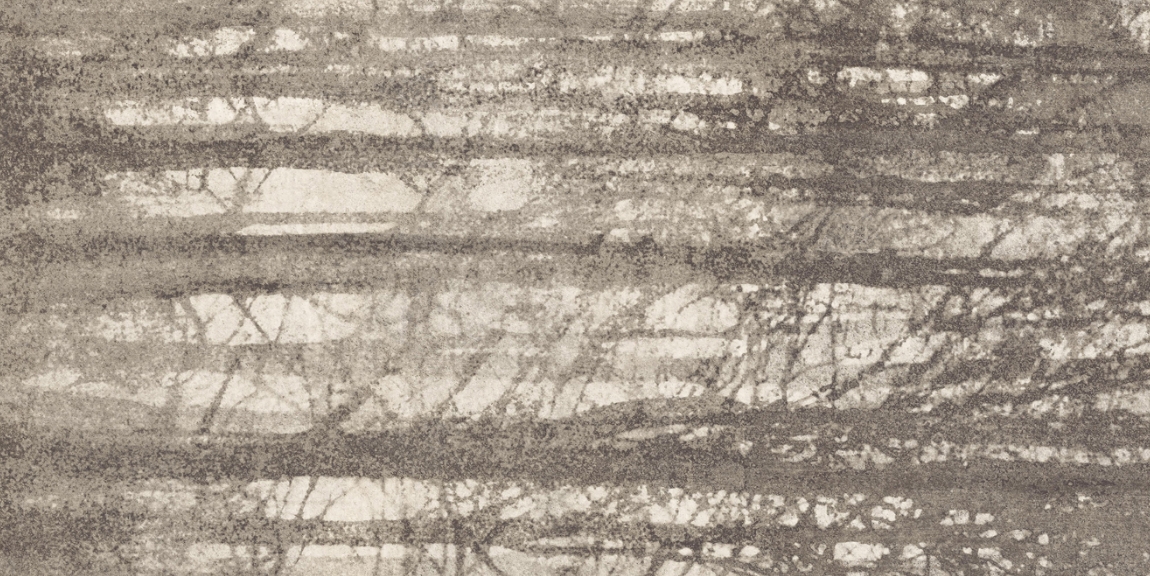 YLICO WOOD FOG