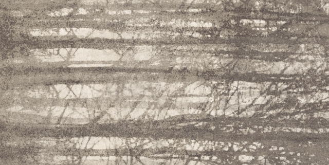 YLICO WOOD FOG
