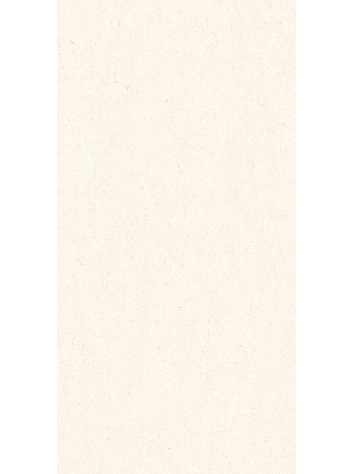 FOSSIL WHITE