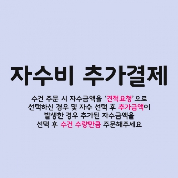 자수비 추가결제