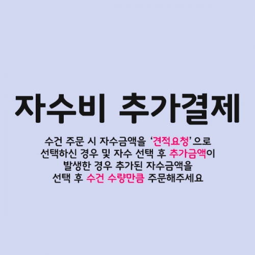 자수비 추가결제