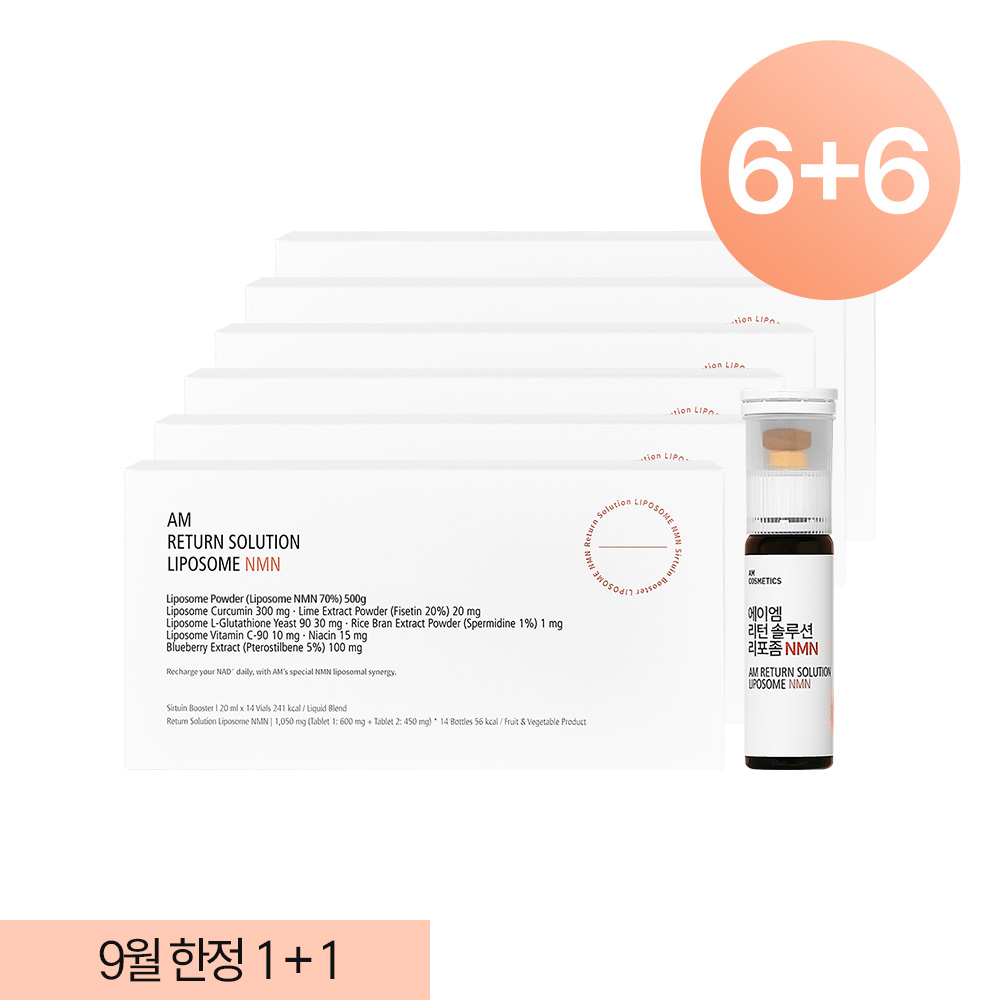 에이엠 리턴 솔루션 리포좀NMN 6박스