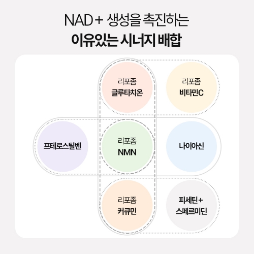 에이엠 리턴 솔루션 리포좀NMN 6박스