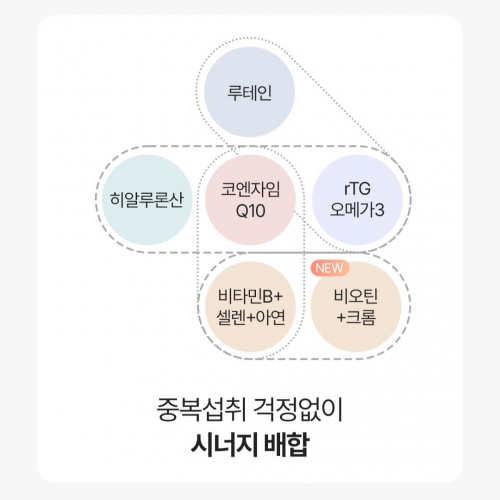 에이엠 데일리 멀티팩 Ver.4 - 12 Months