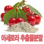 아세로라추출물분말 100g 아세로라파우더