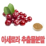 아세로라추출물분말 100g 아세로라파우더