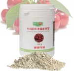 아세로라추출물분말 100g 아세로라파우더