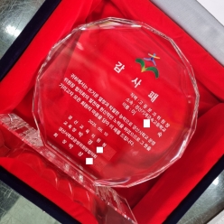 상패트로피 260219