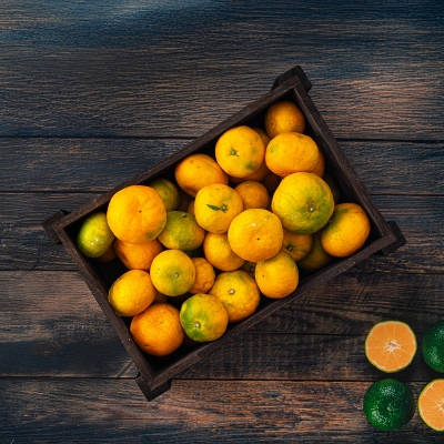 극조생 감귤(자연스러운 달콤함) 5Kg