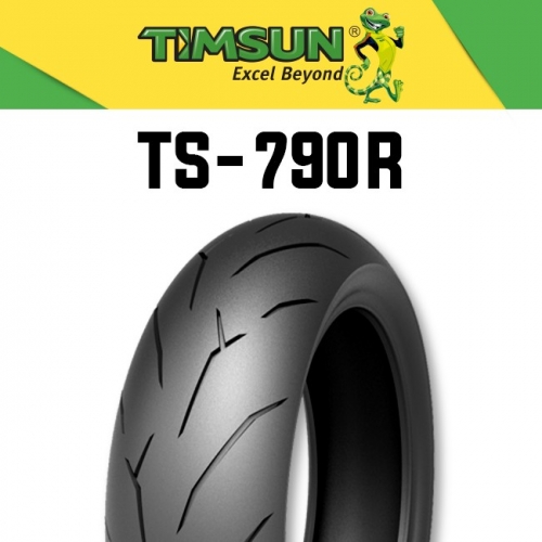 팀선 TS-790R 190/55-17 타이어