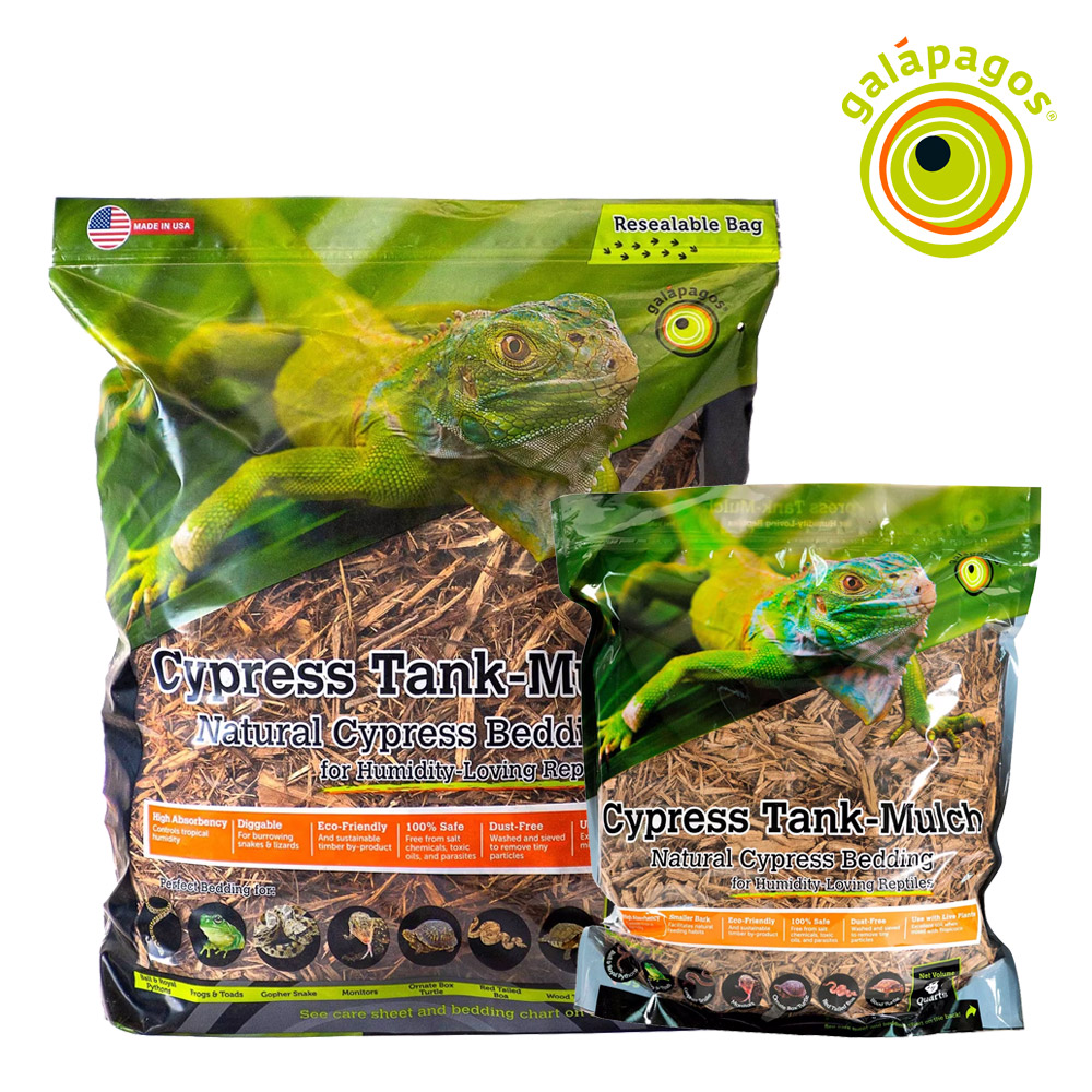 갈라파고스 사이프러스 베딩