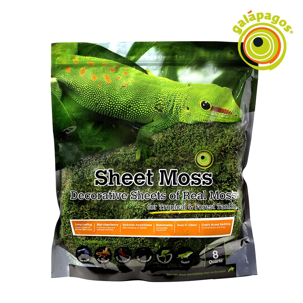 갈라파고스 시트 모스