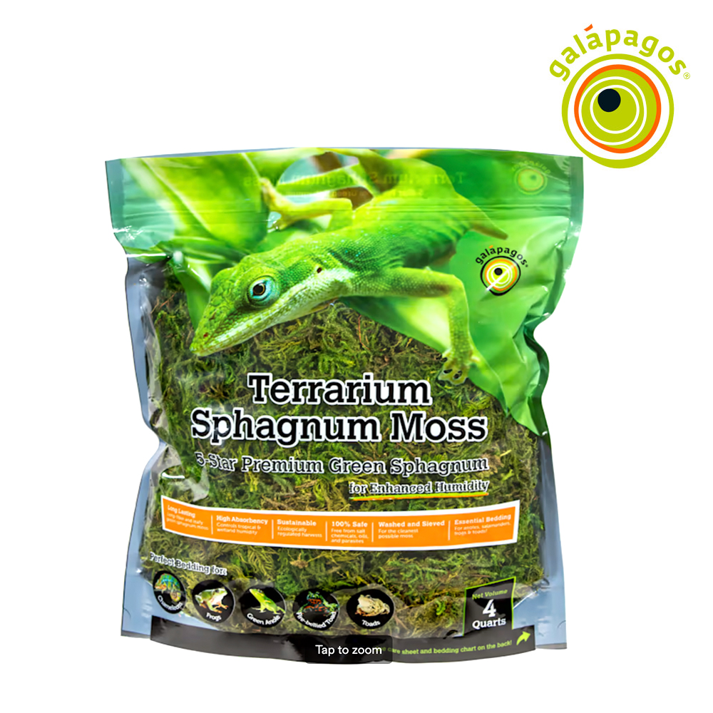 갈라파고스 그린 테라리움 스패그넘 모스