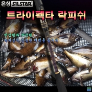 트라이펙타 락피쉬