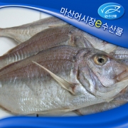 반찬용 참돔 반건조 참돔 작은 참돔 구이 찜 용 작은 참돔 국산참돔 24cm 도미