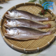 반찬용 생선 반건조 침조기 3마리 25cm 구이 찜용 맛있는 생선 긴가이석태 3마리 황민어 침굴비 반건조 마산어시장