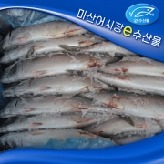 국산고등어 한박스 냉동고등어 10kg 28마리 연근해산 고등어 10키로 고갈비 구이 조림 도매 식자재