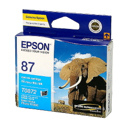 EPSON 정품 잉크 T087290