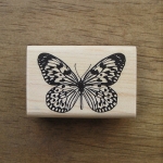 나비 클래식 (6x4)