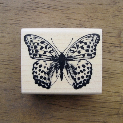 나비 클래식 (6x5)