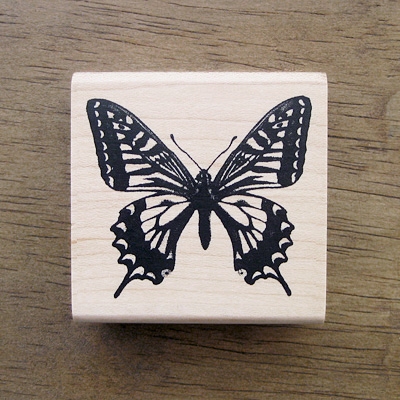 나비 클래식 (6x6)