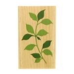 체리쉬 스탬프 J - 초록 나뭇잎