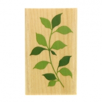 체리쉬 스탬프 J - 초록 나뭇잎
