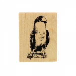 야생동물 스탬프 - 앵무새