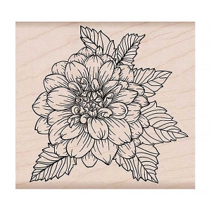 Artistic Dahlia