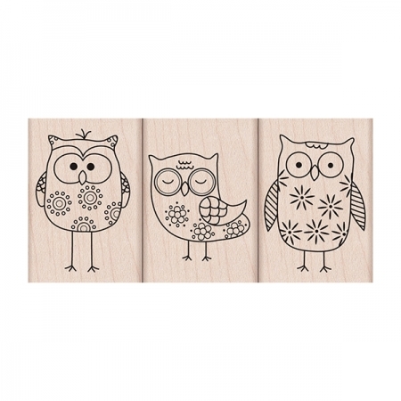 Owl Trio