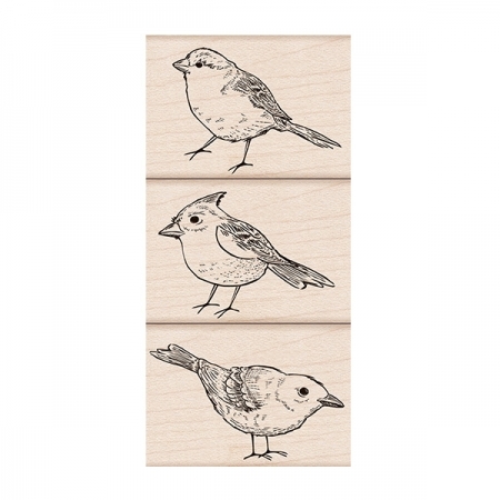 Bird Trio