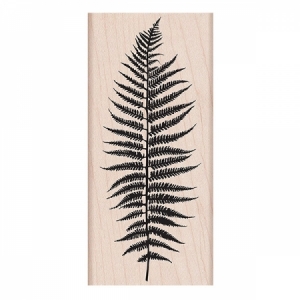 SILHOUETTE FERN - K5314