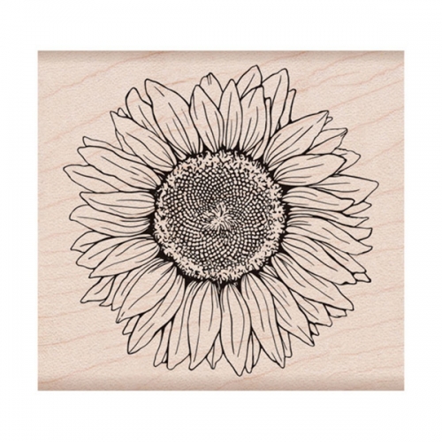 Sunflower - K6288