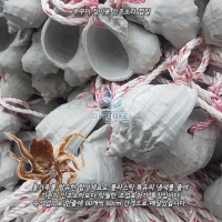 쭈꾸미 잡이용 소라껍질 인조 친환경 플라스틱 소라