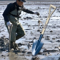 낙지삽 가래삽 낙지잡이 갯벌체험