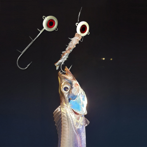 문라이트 역지그 캐스팅 더블 텐야 내만권 워킹 방파제 갈치 볼락 지그헤드