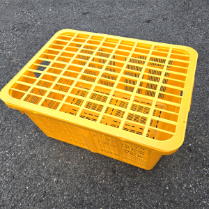 운반상자 대1호 플라스틱 뚜껑 대게 꽃게 수산물 포장용 덮개