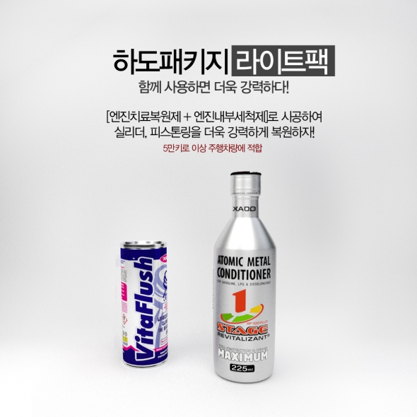 하도패키지 라이트팩 [맥시멈엔진치료복원제 + 비타플러시]