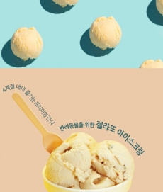 도러블 강아지 아이스크림 딸기맛 473ml