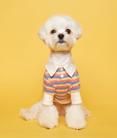 [플로트]스트라이프 럭비 셔츠 옐로우페일레드 강아지옷