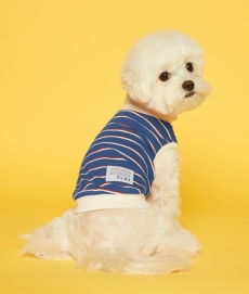 플로트 스탠다드 민소매티셔츠 딥블루아이보리 강아지옷