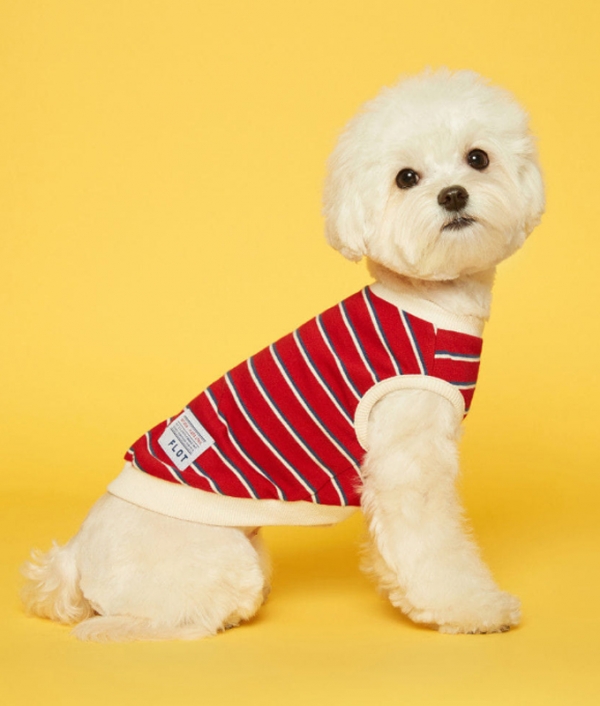 플로트 스탠다드 민소매티셔츠 레드아이보리 강아지옷