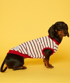 플로트 스탠다드 민소매티셔츠 아이보리레드 강아지옷
