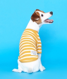 플로트 스탠다드 골지티셔츠 옐로우 강아지옷