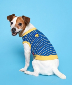 플로트X테디아일랜드 민소매티셔츠 강아지옷 블루