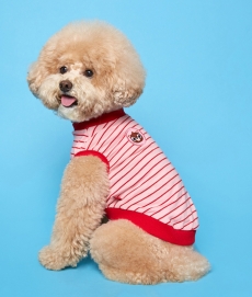 플로트X테디아일랜드 민소매티셔츠 강아지옷 핑크